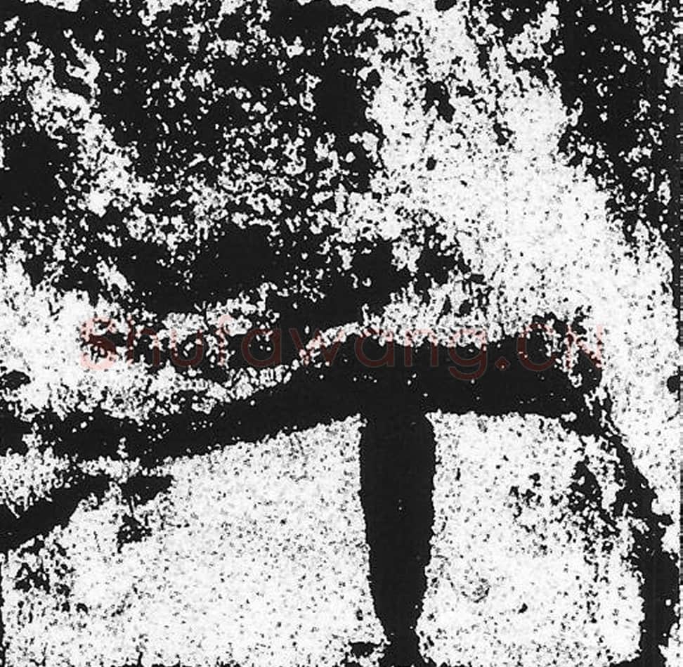 年毛笔魏碑写法，摘自：始平公造像记